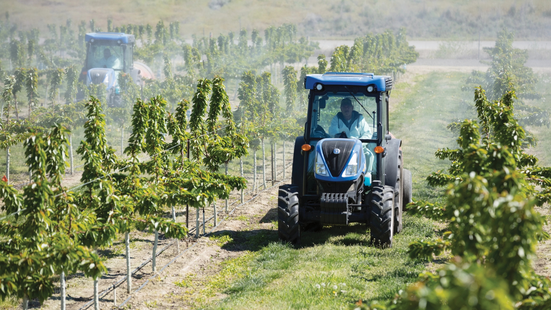 ProCart™ and ProCart™ PLUS Deluxe Carted Wheel Rakes