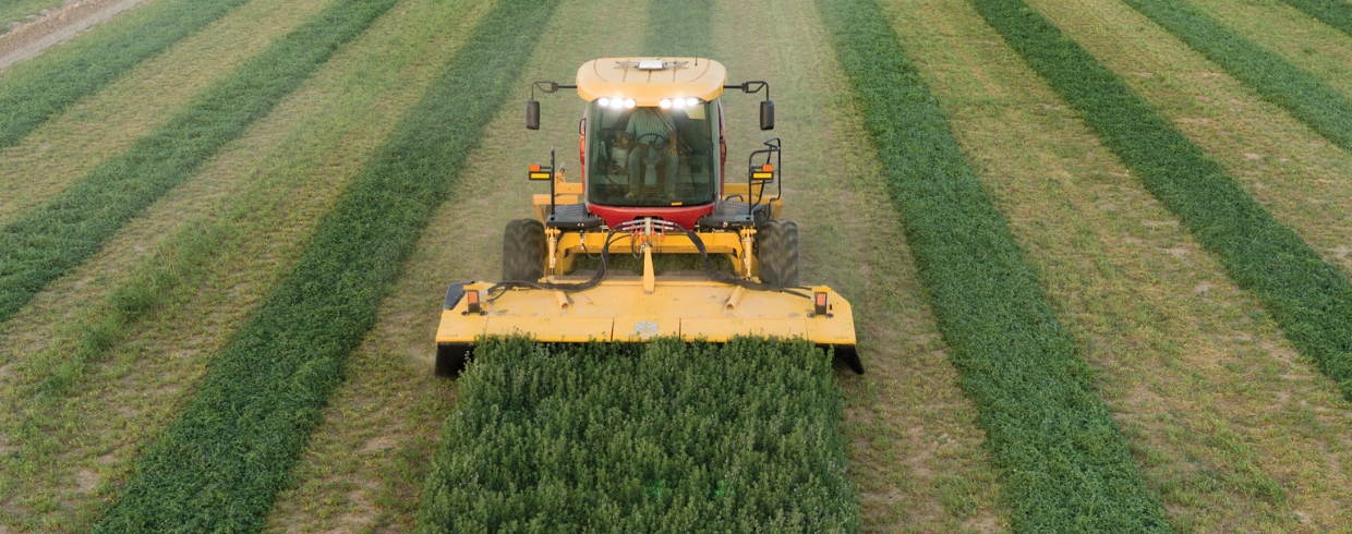 THE LATEST AND STRAIGHTEST